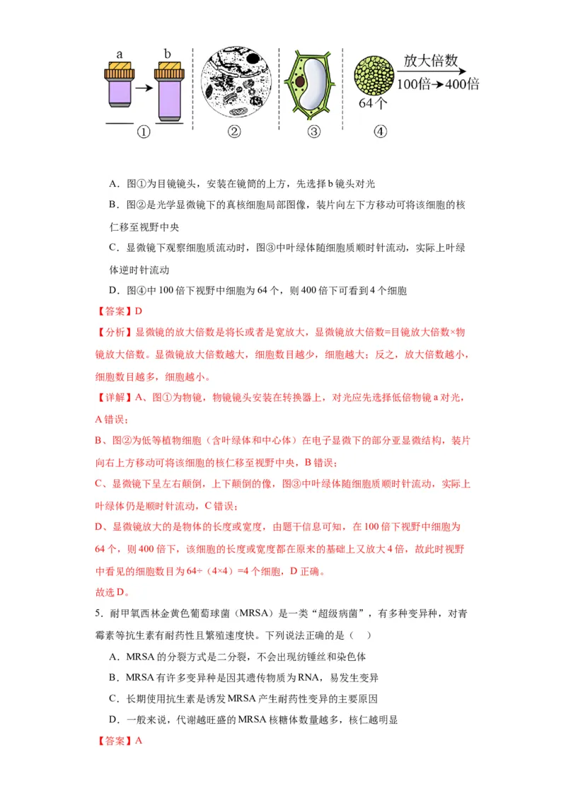 第一单元细胞及其分子组成（测试卷）（解析版)_2024年新高考资料_3.2024专项复习_备战2024年高考生物一轮复习重难点专项突破