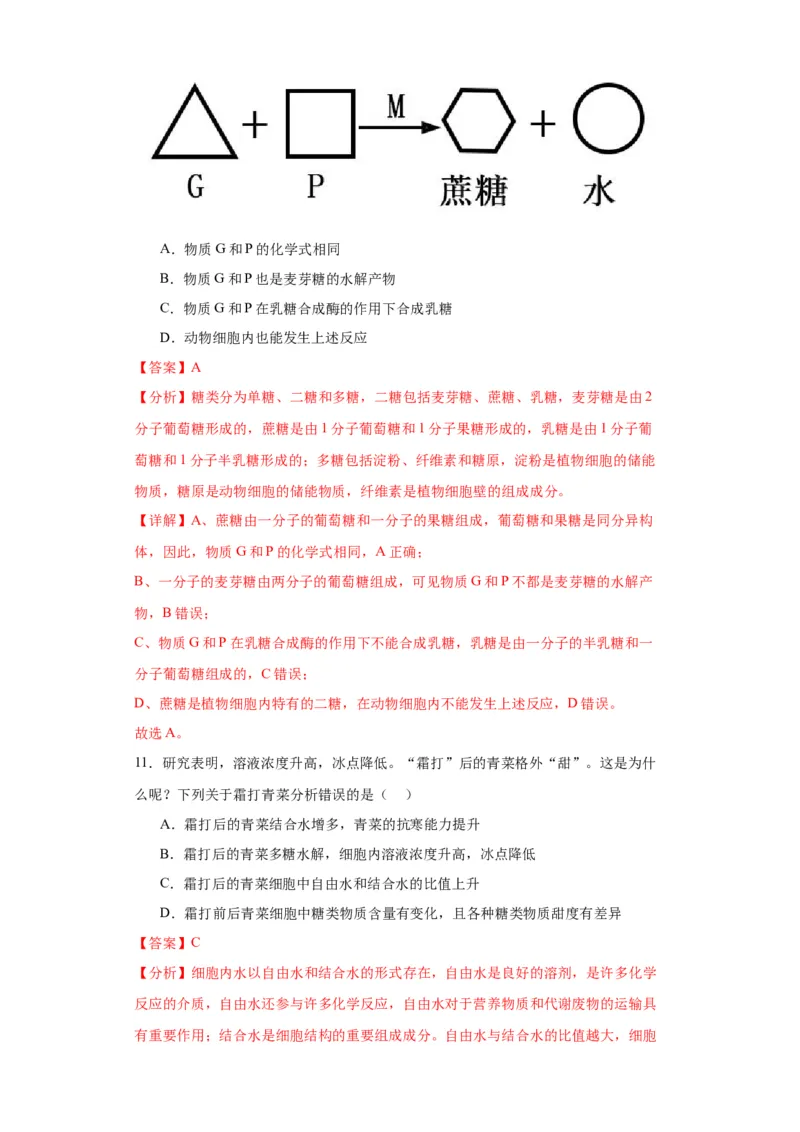 第一单元细胞及其分子组成（测试卷）（解析版)_2024年新高考资料_3.2024专项复习_备战2024年高考生物一轮复习重难点专项突破