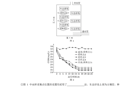 第9单元　课时练9　人与环境_2024年新高考资料_1.2024一轮复习_2024年高考生物一轮复习讲义（新人教版）_学生版在此文件夹_一轮复习69练_第九单元　生物与环境