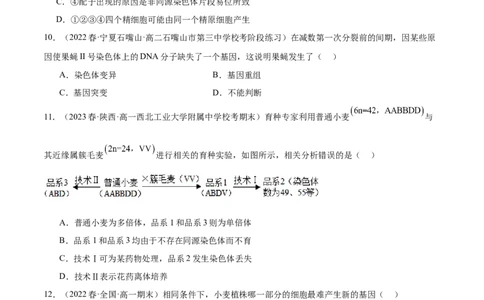 第七单元生物的变异与进化（测试）（原卷版）_2024年新高考资料_1.2024一轮复习_2024年高考生物一轮复习讲练测（新教材新高考）