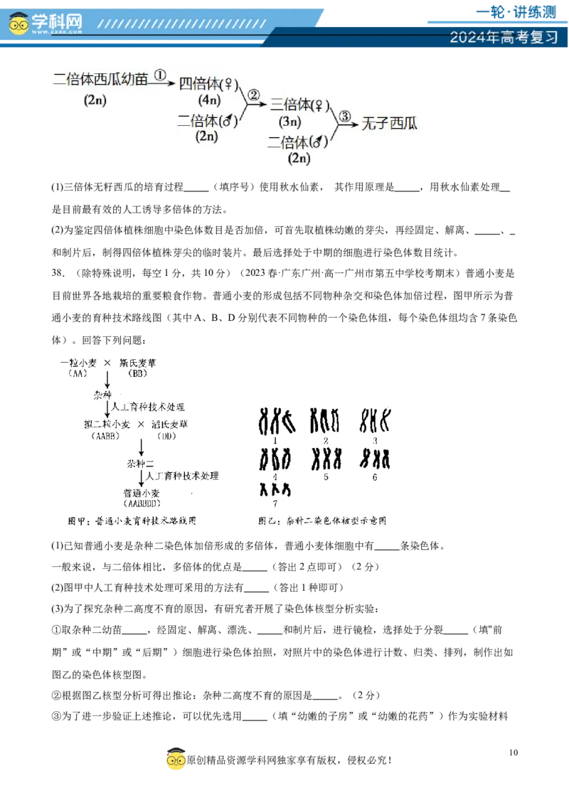 第七单元生物的变异与进化（测试）（原卷版）_2024年新高考资料_1.2024一轮复习_2024年高考生物一轮复习讲练测（新教材新高考）
