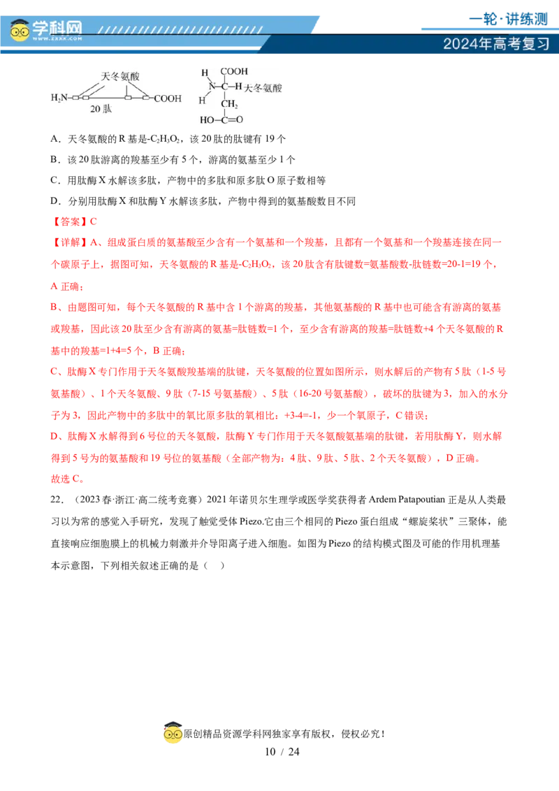 第一单元细胞的概述及其分子组成（解析版）_2024年新高考资料_1.2024一轮复习_2024年高考生物一轮复习讲练测（新教材新高考）