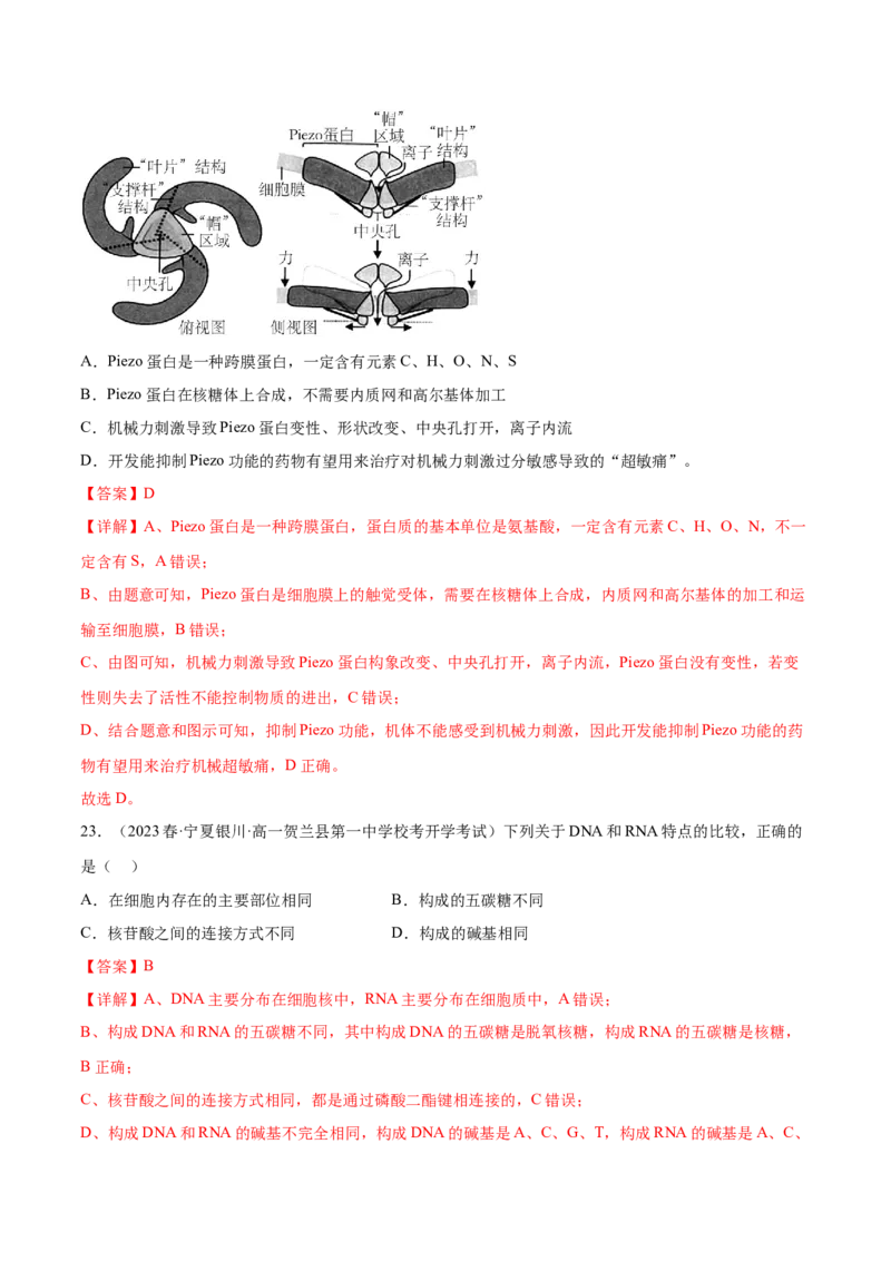 第一单元细胞的概述及其分子组成（解析版）_2024年新高考资料_1.2024一轮复习_2024年高考生物一轮复习讲练测（新教材新高考）