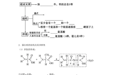 专题03蛋白质与核酸(教师版)_新高考复习资料_2023年新高考复习资料_二轮复习_增分要点2023高考生物二轮复习专题解读和分层训练291073137