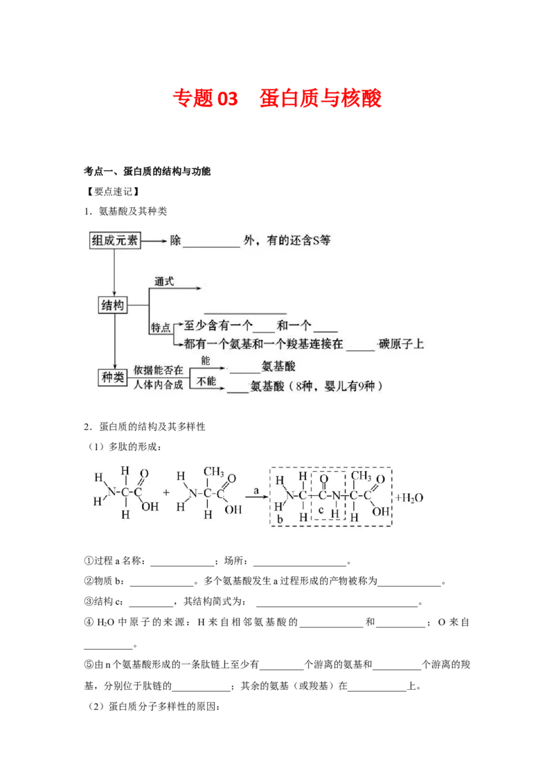 专题03蛋白质与核酸(教师版)_新高考复习资料_2023年新高考复习资料_二轮复习_增分要点2023高考生物二轮复习专题解读和分层训练291073137