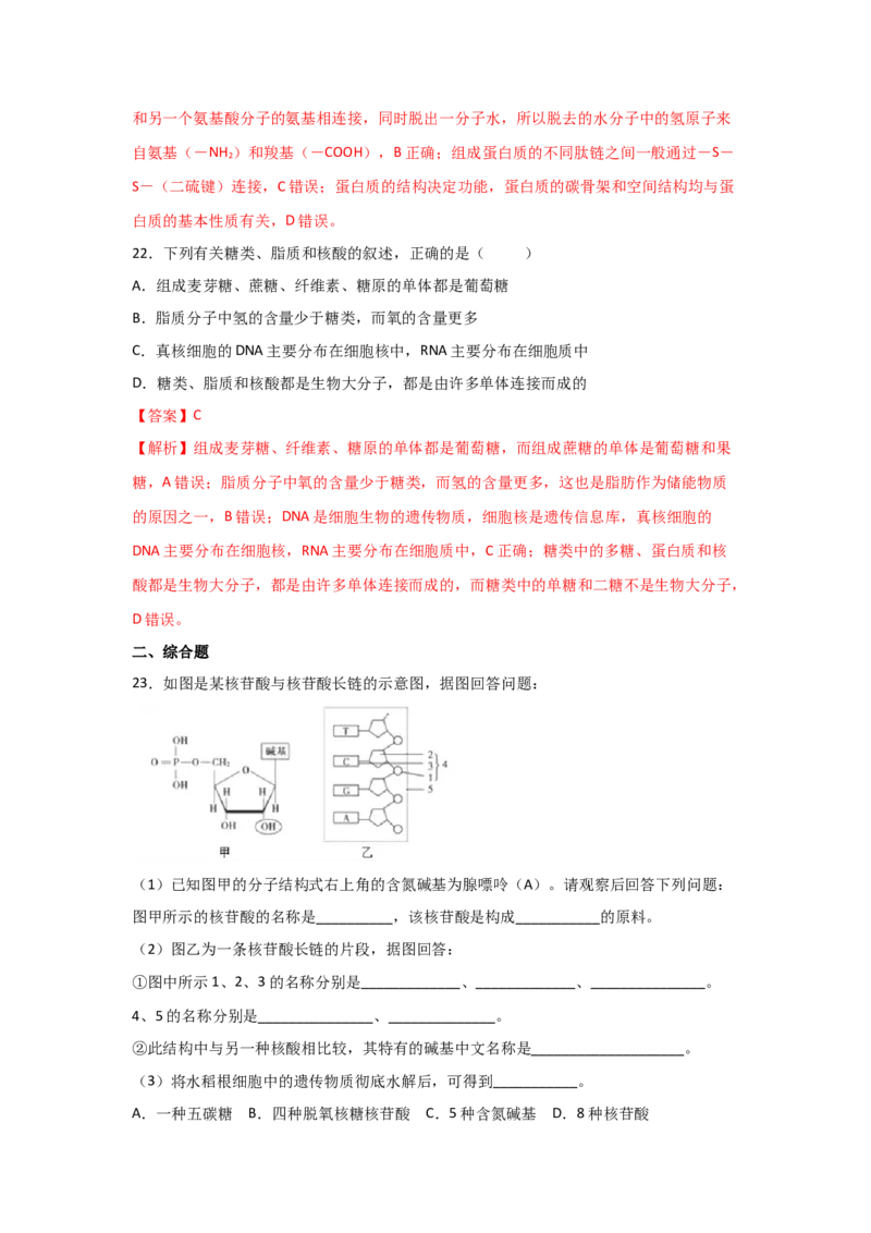 专题03蛋白质与核酸(教师版)_新高考复习资料_2023年新高考复习资料_二轮复习_增分要点2023高考生物二轮复习专题解读和分层训练291073137
