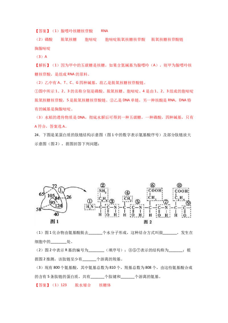 专题03蛋白质与核酸(教师版)_新高考复习资料_2023年新高考复习资料_二轮复习_增分要点2023高考生物二轮复习专题解读和分层训练291073137