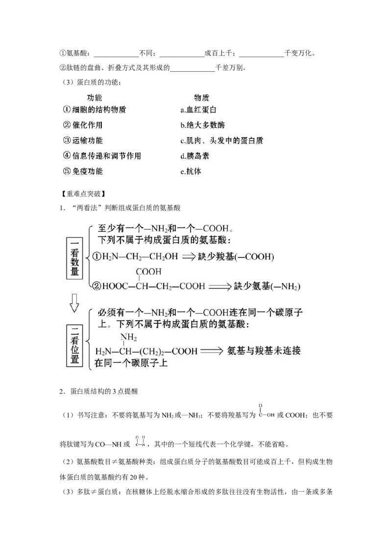 专题03蛋白质与核酸(教师版)_新高考复习资料_2023年新高考复习资料_二轮复习_增分要点2023高考生物二轮复习专题解读和分层训练291073137