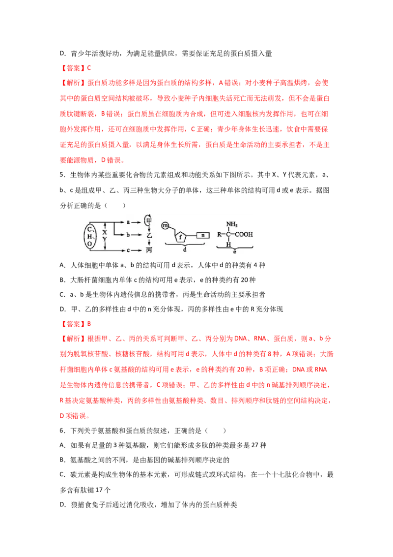 专题03蛋白质与核酸(教师版)_新高考复习资料_2023年新高考复习资料_二轮复习_增分要点2023高考生物二轮复习专题解读和分层训练291073137