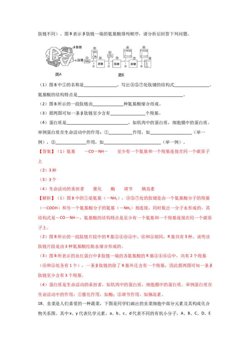 专题03蛋白质与核酸(教师版)_新高考复习资料_2023年新高考复习资料_二轮复习_增分要点2023高考生物二轮复习专题解读和分层训练291073137