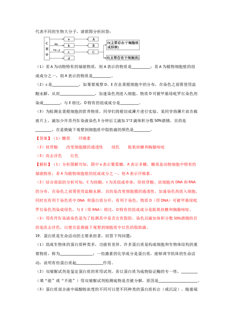 专题03蛋白质与核酸(教师版)_新高考复习资料_2023年新高考复习资料_二轮复习_增分要点2023高考生物二轮复习专题解读和分层训练291073137