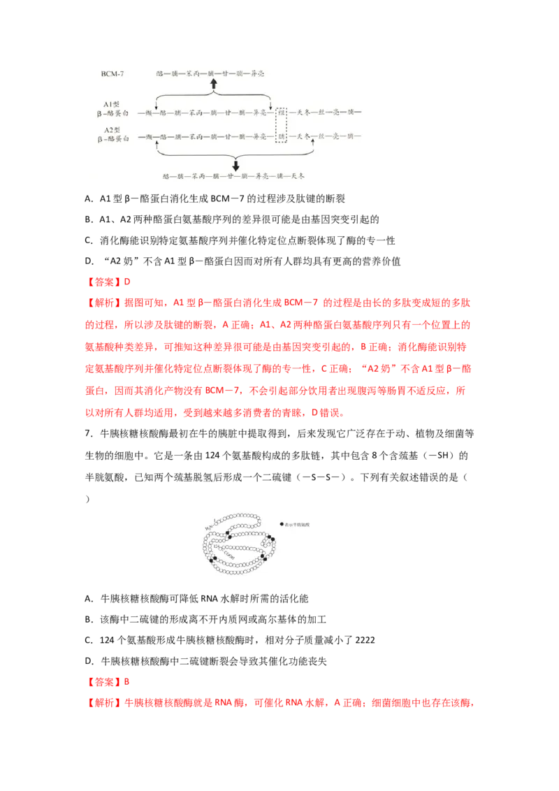 专题03蛋白质与核酸(教师版)_新高考复习资料_2023年新高考复习资料_二轮复习_增分要点2023高考生物二轮复习专题解读和分层训练291073137