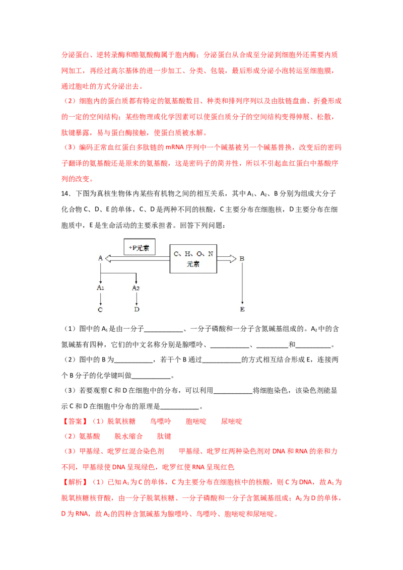 专题03蛋白质与核酸(教师版)_新高考复习资料_2023年新高考复习资料_二轮复习_增分要点2023高考生物二轮复习专题解读和分层训练291073137