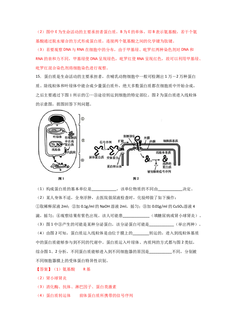 专题03蛋白质与核酸(教师版)_新高考复习资料_2023年新高考复习资料_二轮复习_增分要点2023高考生物二轮复习专题解读和分层训练291073137