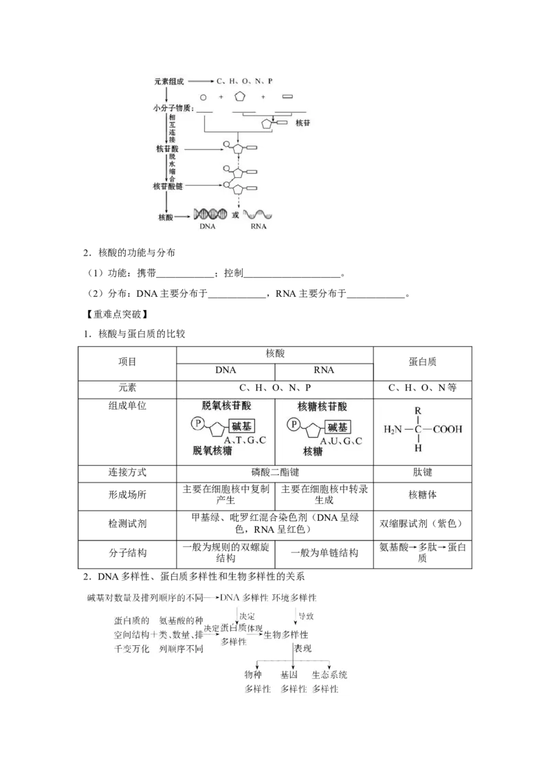 专题03蛋白质与核酸(教师版)_新高考复习资料_2023年新高考复习资料_二轮复习_增分要点2023高考生物二轮复习专题解读和分层训练291073137