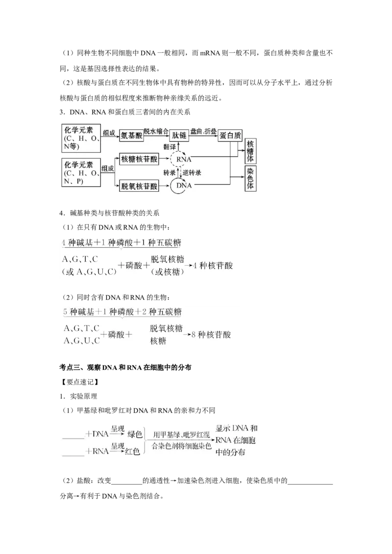 专题03蛋白质与核酸(教师版)_新高考复习资料_2023年新高考复习资料_二轮复习_增分要点2023高考生物二轮复习专题解读和分层训练291073137
