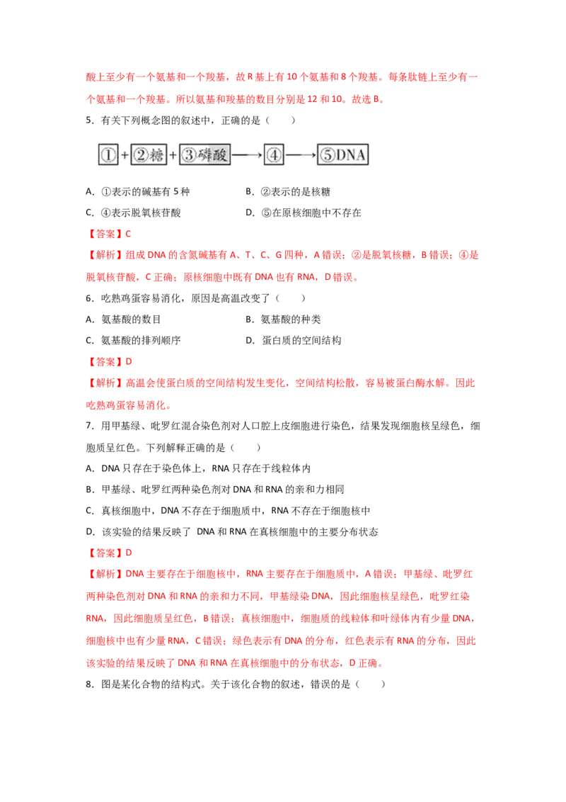专题03蛋白质与核酸(教师版)_新高考复习资料_2023年新高考复习资料_二轮复习_增分要点2023高考生物二轮复习专题解读和分层训练291073137