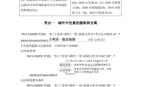 第9讲光合作用与能量转化_2024年新高考资料_1.2024一轮复习_2024年高考生物一轮复习讲义（新人教版）_另附1套Word版题库_必修1_第三单元细胞的能量供应和利用