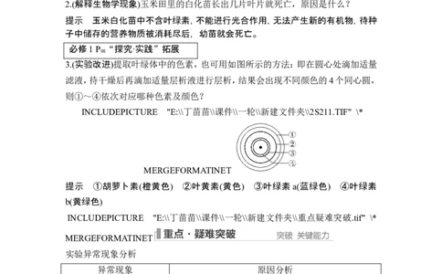 第9讲光合作用与能量转化_2024年新高考资料_1.2024一轮复习_2024年高考生物一轮复习讲义（新人教版）_另附1套Word版题库_必修1_第三单元细胞的能量供应和利用