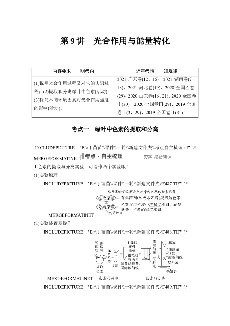 第9讲光合作用与能量转化_2024年新高考资料_1.2024一轮复习_2024年高考生物一轮复习讲义（新人教版）_另附1套Word版题库_必修1_第三单元细胞的能量供应和利用