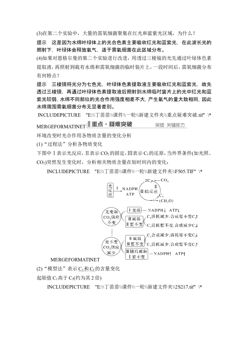 第9讲光合作用与能量转化_2024年新高考资料_1.2024一轮复习_2024年高考生物一轮复习讲义（新人教版）_另附1套Word版题库_必修1_第三单元细胞的能量供应和利用
