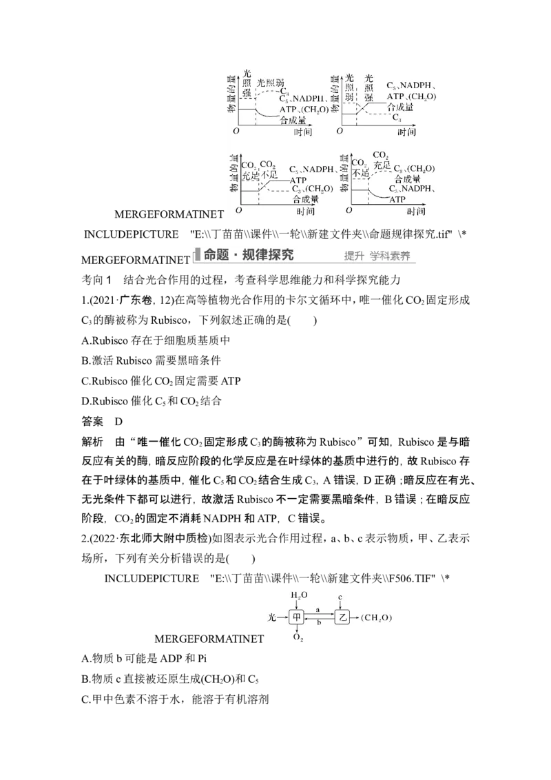 第9讲光合作用与能量转化_2024年新高考资料_1.2024一轮复习_2024年高考生物一轮复习讲义（新人教版）_另附1套Word版题库_必修1_第三单元细胞的能量供应和利用