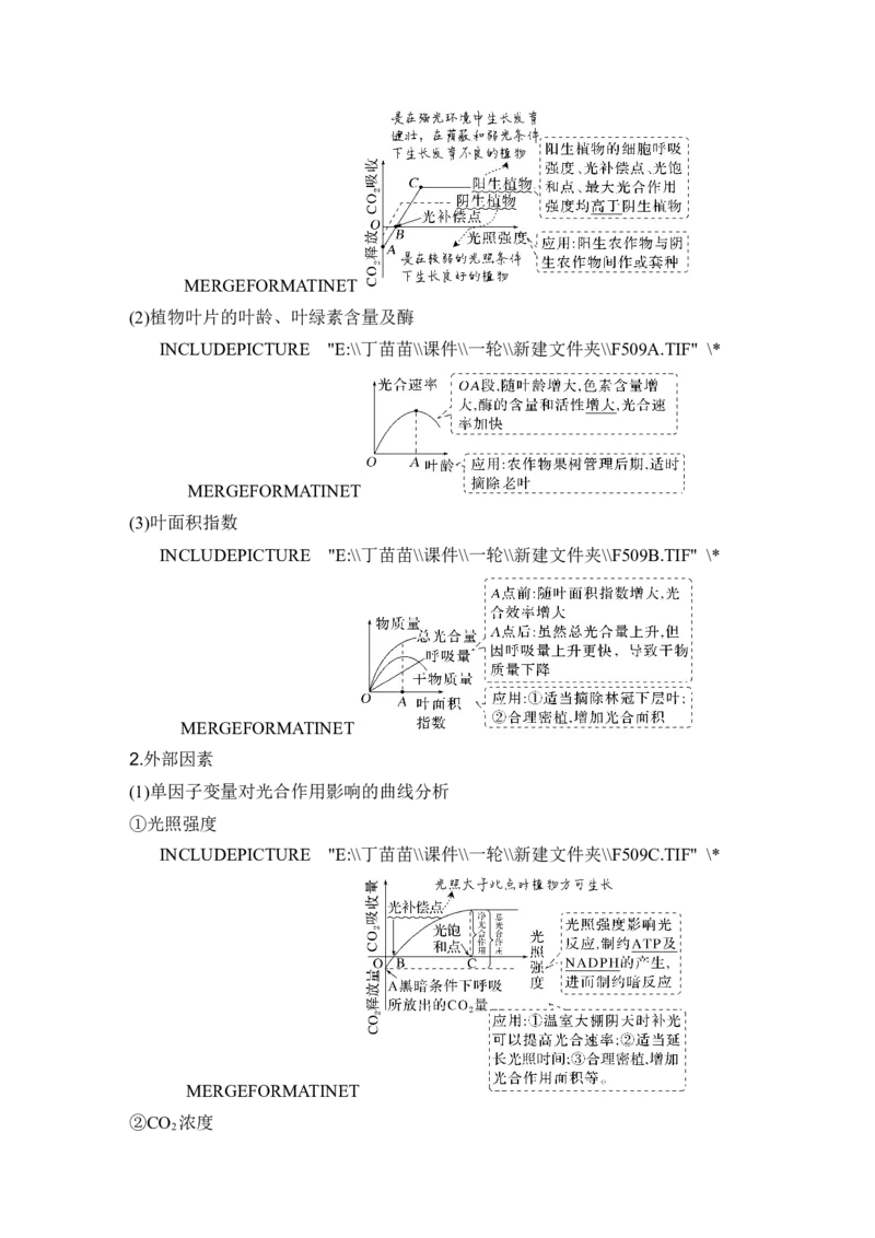 第9讲光合作用与能量转化_2024年新高考资料_1.2024一轮复习_2024年高考生物一轮复习讲义（新人教版）_另附1套Word版题库_必修1_第三单元细胞的能量供应和利用