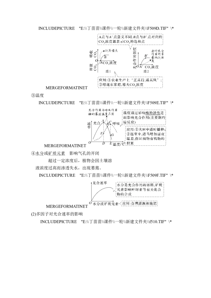 第9讲光合作用与能量转化_2024年新高考资料_1.2024一轮复习_2024年高考生物一轮复习讲义（新人教版）_另附1套Word版题库_必修1_第三单元细胞的能量供应和利用
