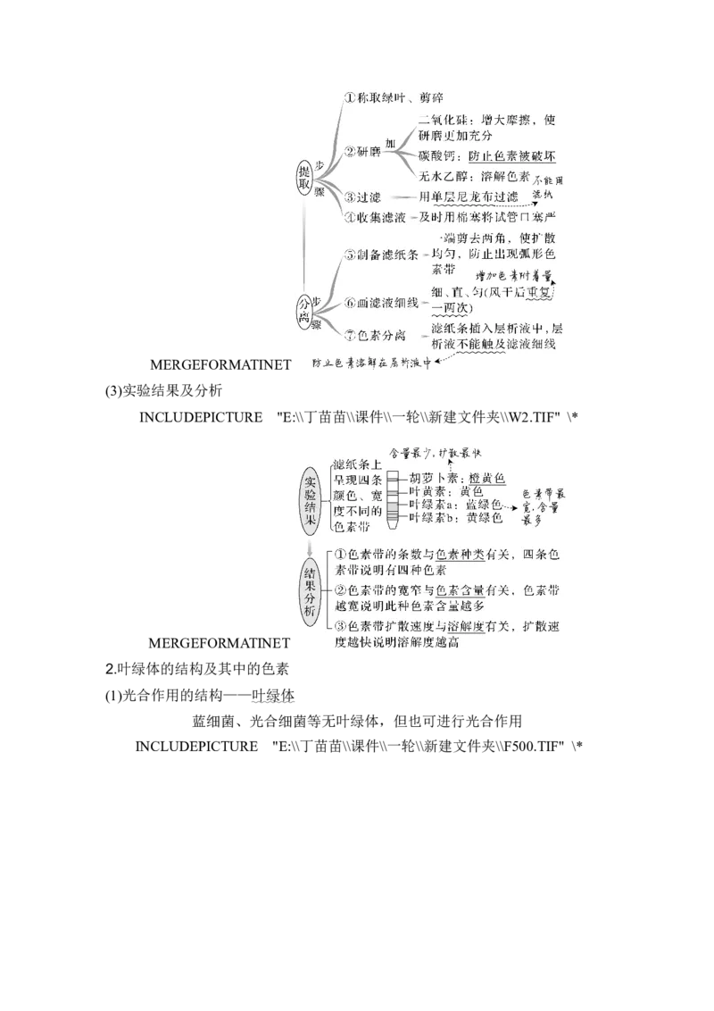 第9讲光合作用与能量转化_2024年新高考资料_1.2024一轮复习_2024年高考生物一轮复习讲义（新人教版）_另附1套Word版题库_必修1_第三单元细胞的能量供应和利用