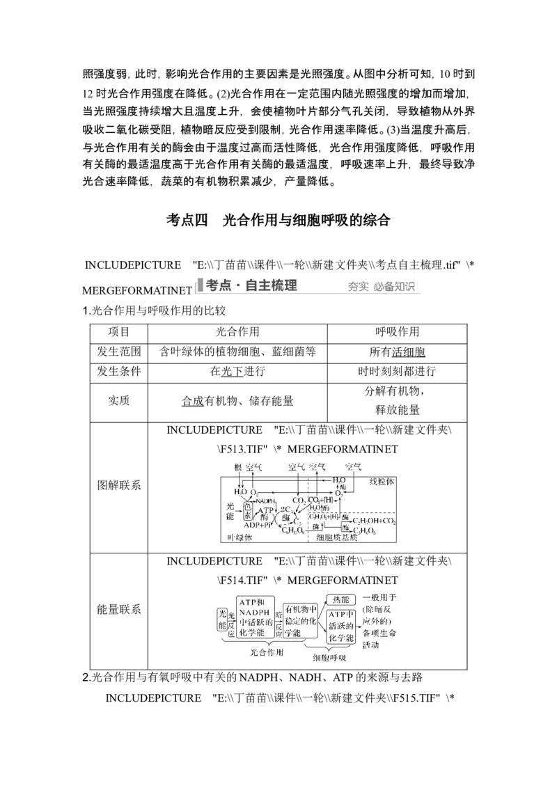 第9讲光合作用与能量转化_2024年新高考资料_1.2024一轮复习_2024年高考生物一轮复习讲义（新人教版）_另附1套Word版题库_必修1_第三单元细胞的能量供应和利用