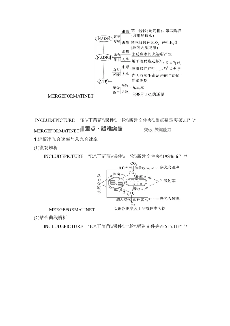 第9讲光合作用与能量转化_2024年新高考资料_1.2024一轮复习_2024年高考生物一轮复习讲义（新人教版）_另附1套Word版题库_必修1_第三单元细胞的能量供应和利用