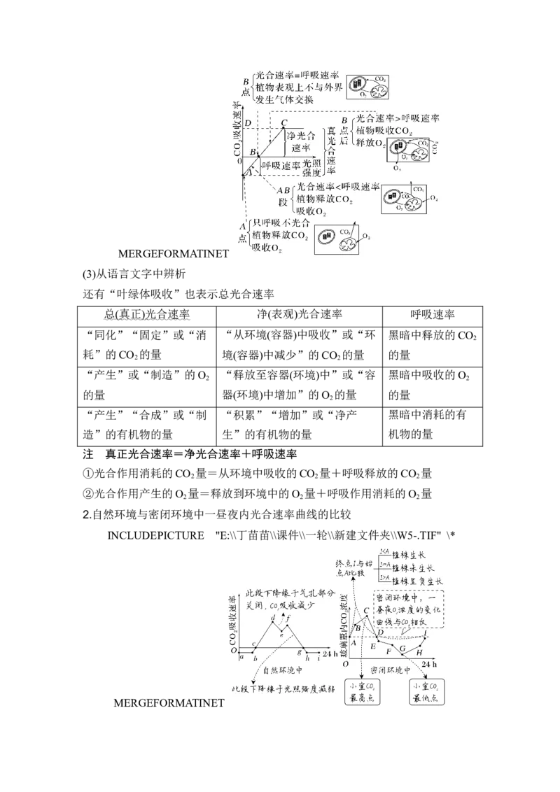 第9讲光合作用与能量转化_2024年新高考资料_1.2024一轮复习_2024年高考生物一轮复习讲义（新人教版）_另附1套Word版题库_必修1_第三单元细胞的能量供应和利用