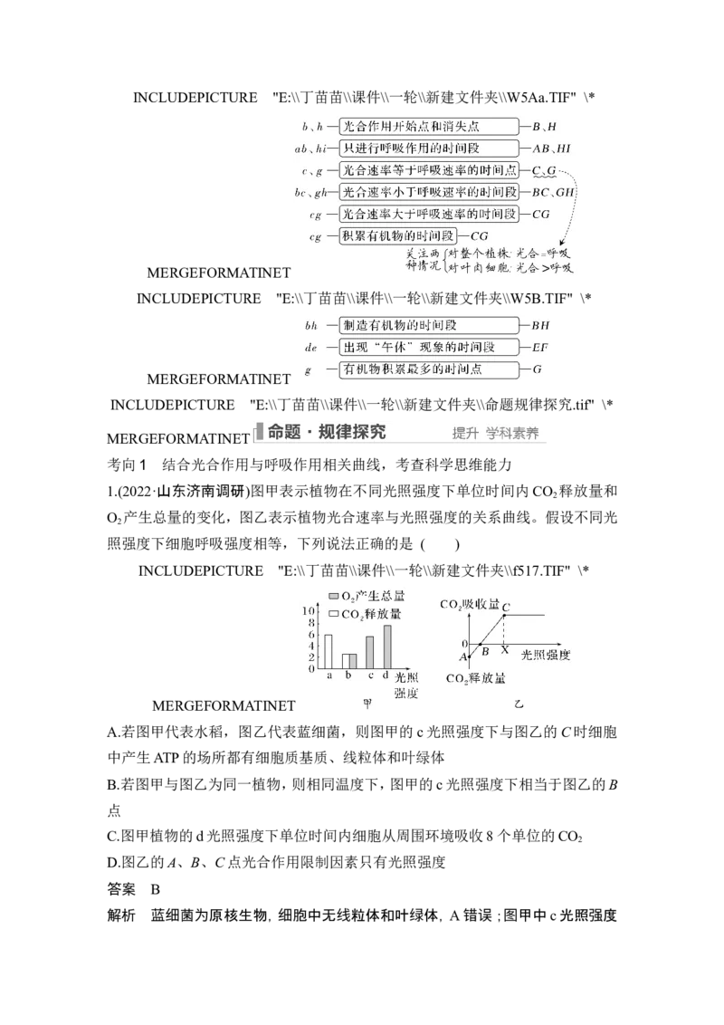 第9讲光合作用与能量转化_2024年新高考资料_1.2024一轮复习_2024年高考生物一轮复习讲义（新人教版）_另附1套Word版题库_必修1_第三单元细胞的能量供应和利用