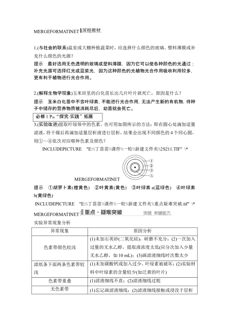 第9讲光合作用与能量转化_2024年新高考资料_1.2024一轮复习_2024年高考生物一轮复习讲义（新人教版）_另附1套Word版题库_必修1_第三单元细胞的能量供应和利用