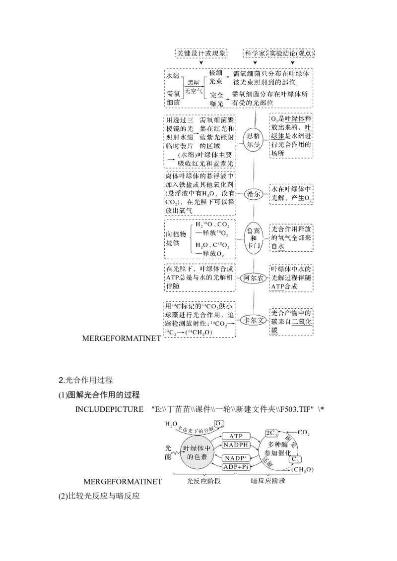 第9讲光合作用与能量转化_2024年新高考资料_1.2024一轮复习_2024年高考生物一轮复习讲义（新人教版）_另附1套Word版题库_必修1_第三单元细胞的能量供应和利用