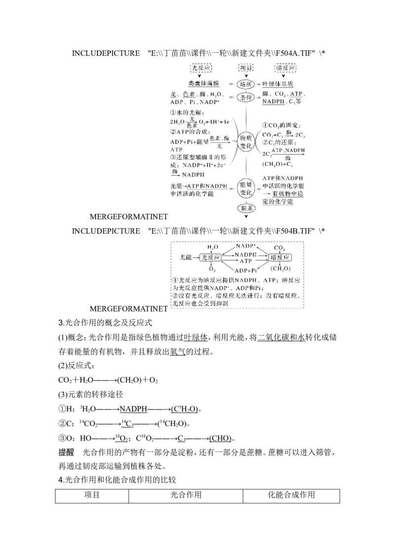 第9讲光合作用与能量转化_2024年新高考资料_1.2024一轮复习_2024年高考生物一轮复习讲义（新人教版）_另附1套Word版题库_必修1_第三单元细胞的能量供应和利用