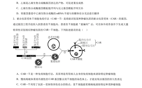 考点通关卷10光合作用（原卷版）_2024年新高考资料_1.2024一轮复习_2024年高考生物一轮复习考点通关卷（新高考通用）_考点通关卷10+光合作用-2024年高考生物一轮复习考点通关卷