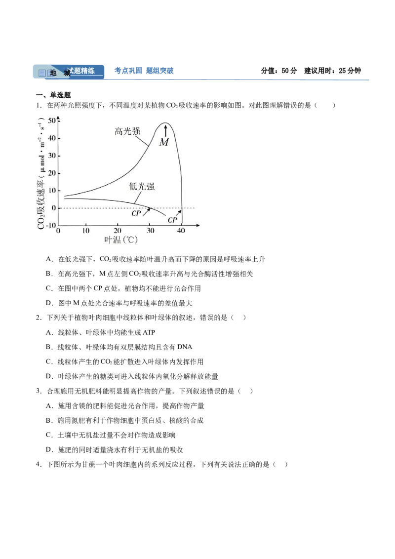 考点通关卷10光合作用（原卷版）_2024年新高考资料_1.2024一轮复习_2024年高考生物一轮复习考点通关卷（新高考通用）_考点通关卷10+光合作用-2024年高考生物一轮复习考点通关卷
