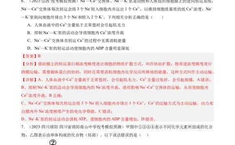 专题01细胞的分子组成、结构和物质运输（分层练）（解析版）_新高考复习资料_2024年新高考复习资料_二轮复习资料_分层练_教师版（含答案解析）