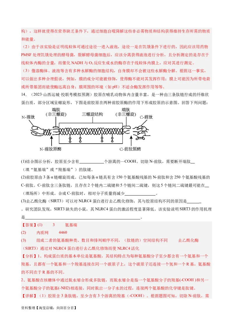 专题01细胞的分子组成、结构和物质运输（分层练）（解析版）_新高考复习资料_2024年新高考复习资料_二轮复习资料_分层练_教师版（含答案解析）