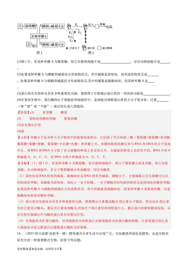 专题01细胞的分子组成、结构和物质运输（分层练）（解析版）_新高考复习资料_2024年新高考复习资料_二轮复习资料_分层练_教师版（含答案解析）