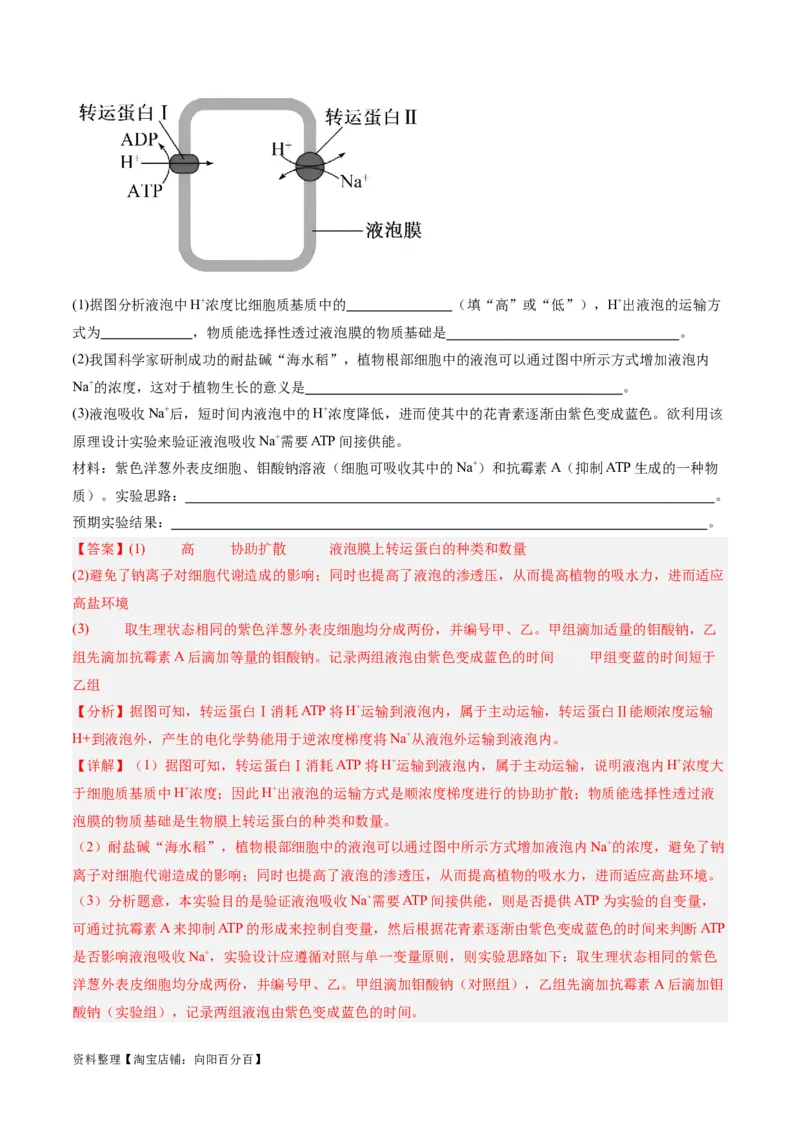 专题01细胞的分子组成、结构和物质运输（分层练）（解析版）_新高考复习资料_2024年新高考复习资料_二轮复习资料_分层练_教师版（含答案解析）