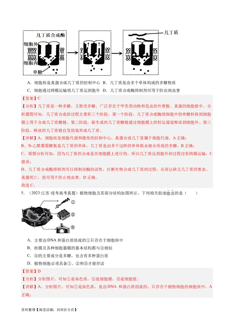 专题01细胞的分子组成、结构和物质运输（分层练）（解析版）_新高考复习资料_2024年新高考复习资料_二轮复习资料_分层练_教师版（含答案解析）
