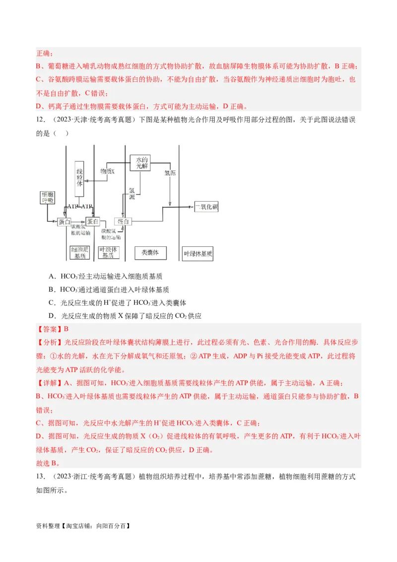专题01细胞的分子组成、结构和物质运输（分层练）（解析版）_新高考复习资料_2024年新高考复习资料_二轮复习资料_分层练_教师版（含答案解析）
