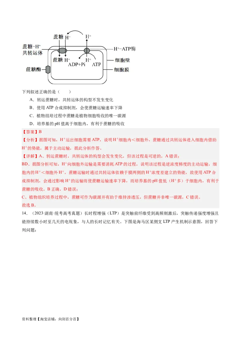 专题01细胞的分子组成、结构和物质运输（分层练）（解析版）_新高考复习资料_2024年新高考复习资料_二轮复习资料_分层练_教师版（含答案解析）