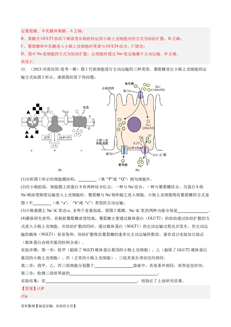专题01细胞的分子组成、结构和物质运输（分层练）（解析版）_新高考复习资料_2024年新高考复习资料_二轮复习资料_分层练_教师版（含答案解析）