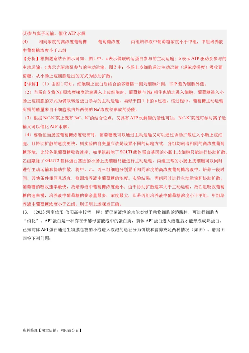 专题01细胞的分子组成、结构和物质运输（分层练）（解析版）_新高考复习资料_2024年新高考复习资料_二轮复习资料_分层练_教师版（含答案解析）