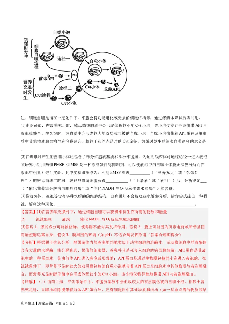 专题01细胞的分子组成、结构和物质运输（分层练）（解析版）_新高考复习资料_2024年新高考复习资料_二轮复习资料_分层练_教师版（含答案解析）
