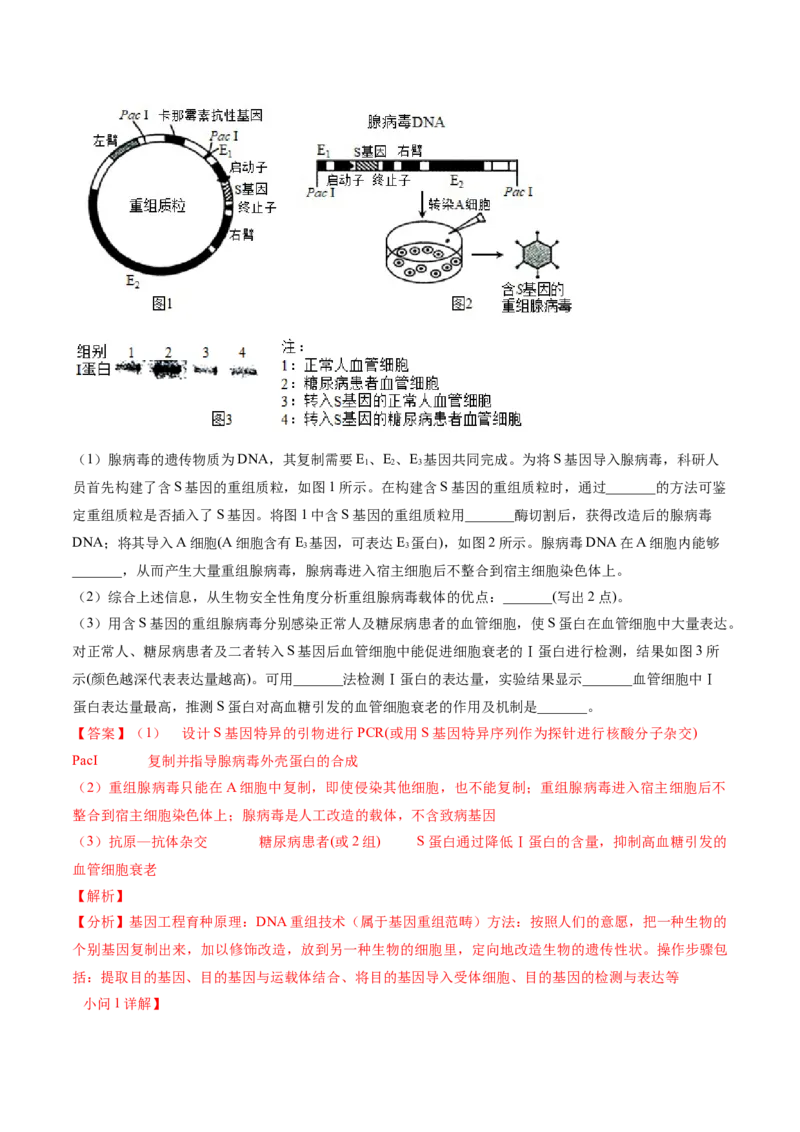 黄金卷01（解析版）-赢在高考&middot;黄金8卷备战2024年高考生物模拟卷（河北专用）_2024年新高考资料_4.2024高考模拟预测试卷