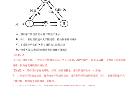 考点通关卷11细胞代谢综合分析（解析版）_2024年新高考资料_1.2024一轮复习_2024年高考生物一轮复习考点通关卷（新高考通用）